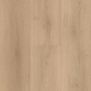 Stella