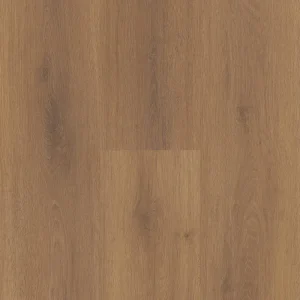 Terra